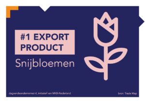 export product